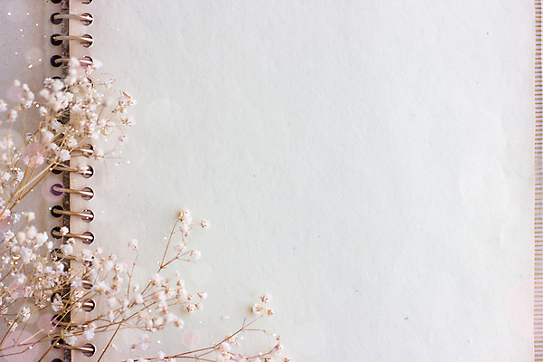 포토 JPG 해외이미지 템플릿 꽃 종이 백그라운드 캘리그라피 텍스트 추상 프레임 발렌타인데이 선물 사랑 미술 사람없음 우주 다이어리 쪽지 공책 공백 수확 골동품 흰색 축하 인사 신용카드 거친 생일 메시지 편지 질감 문서 복고 감사 페이지 레시피 시트 고립 그런지 옛날 스타일 효과 해외포토 식물 기념일 감정 컬러 컨셉 무늬 농업 데이이벤트 문화예술 문구용품 금융 사무용품 예절 파일형식 이미지허브