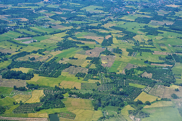 포토 JPG 해외이미지 식물 지구 음식 백그라운드 밭 농업 조류 안테나 풍경 사람없음 초록색 여름 농작물 농장 농경지 성장 시골 정상 땅 장면 밭일 해외포토 동물 계절 산업 컬러 통신 파일형식 이미지허브