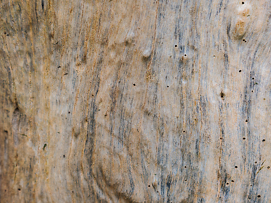 포토 JPG 해외이미지 아이콘 디자인 외관 벽 백그라운드 패턴 오렌지 벽지 벽돌 돌담 사람없음 내부 목재 빨간색 빛 울타리 컬러풀 블록 수확 바위 얼룩 거친 수리 건축가 큼 그림 질감 시멘트 고체 스타일링 어려움 옛날 평야 스타일 해외포토 나무 직업 컬러 무늬 농업 과일 재료 자연 담장 돌_바위 크기 파일형식 이미지허브