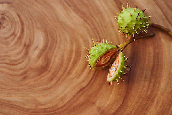 포토 JPG 해외이미지 식물 계절 자연 건강 씨앗 사람없음 장식 초록색 컬러풀 쌓기 견과류 껍질 가을 흰색 신선 가시 그룹 닫기 피부 묘사 날것 흙더미 찌르기 고립 적갈색 채식주의자 해외포토 컬러 모션 신체부위 갈색 흙 생태계 채식 파일형식 더미 이미지허브