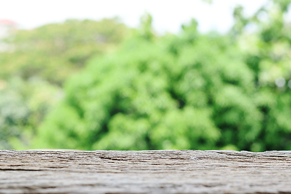 포토 JPG 해외이미지 나무 식물 디자인 공원 백그라운드 잎 자연 벽지 탁자 하늘 바닥 주택 사람없음 야외 목재 초록색 빛 햇빛 태양 갈색 우주 정원 맑음 봄 흰색 시골 널 숲 질감 복고 반대 내추럴 옛날 해외포토 자연요소 계절 공공시설 컬러 가구 재료 날씨 건물 생태계 파일형식 이미지허브