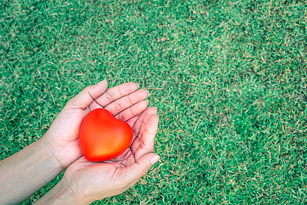 포토 JPG 해외이미지 모양 라이프스타일 손 공원 행복 백그라운드 컨셉 손가락 자연 아이디어 발렌타인데이 건강 관리 선물 사랑 사람 사람없음 빨간색 초록색 건강관리 희망 하트 축하 잡기 보호 심볼 사인 주기 보케 기부 돌봄 블러 지원 헬프 카피스페이스 자선단체 해외포토 공공시설 감정 컬러 모션 데이이벤트 생활 신체부위 공백 도움 그룹 생태계 자선 파일형식 이미지허브