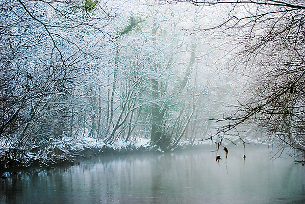 포토 JPG 해외이미지 나무 계절 유럽 겨울 자연 풍경 사람없음 야외 물 강 냉동 얼음 추위 수확 안개 흰색 서리 장면 뿌연 눈내림 해외포토 자연요소 식물 나라 컬러 농업 날씨 눈_날씨 생태계 파일형식 이미지허브