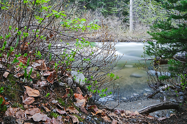 포토 JPG 해외이미지 나무 공원 여행 백그라운드 잎 모션 자연 이끼 풍경 사람없음 야외 초록색 물 여름 강 태양 노란색 평화 환경 봄 트래킹 젖음 흐름 바위 흰색 신선 개울 떨어짐 숲 암초 내추럴 해외포토 자연요소 식물 계절 공공시설 컬러 컨셉 레저 돌_바위 생태계 파일형식 이미지허브