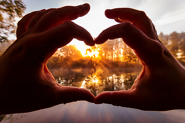 포토 JPG 해외이미지 나무 손 호수 풍경 신체부위 햇빛 반사 일몰 감성 손하트 해외포토 식물 컨셉 사람 손짓 태양 노을 파일형식 이미지허브