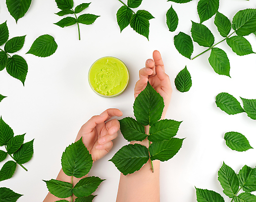 포토 JPG 해외이미지 손 잎 실내 손짓 신체부위 뷰티 화장품 크림 흰배경 해외포토 식물 백그라운드 모션 사람 내부 흰색 파일형식 이미지허브