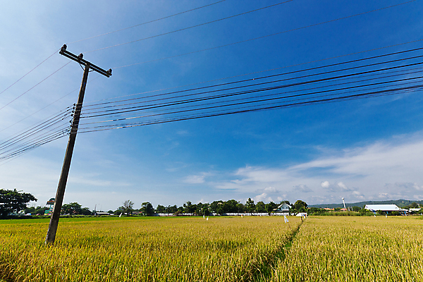 포토 JPG 해외이미지 밭 농업 하늘 풍경 사람없음 초록색 파란색 농장 전선 시골 농부 지역 해외포토 직업 산업 컬러 파일형식 이미지허브