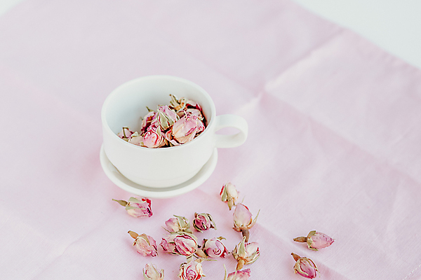 포토 JPG 해외이미지 디자인 꽃잎 꽃 분홍색 결혼 백그라운드 꽃무늬 패턴 추상 휴가 휴식 부활절 기념 발렌타인데이 건강 사랑 미술 이벤트 사람없음 장식 초록색 장미 스파 봄 수확 흰색 축하 신선 생일 향수 질감 향기 심플 아로마 아로마테라피 내추럴 정물화 파스텔톤 해외포토 식물 계절 기념일 감정 컬러 컨셉 무늬 농업 데이이벤트 문화예술 화장품 그림 냄새 테라피 파일형식 이미지허브