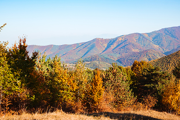 포토 JPG 해외이미지 주간 나무 단풍 산 사람없음 야외 가을풍경 숲 루마니아 해외포토 자연요소 식물 유럽 잎 풍경 파일형식 가을_계절 이미지허브
