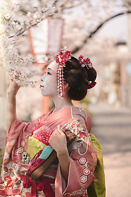 포토 JPG 해외이미지 전통 여자 행복 문화 분홍색 여행 포즈 자국 청소년 거리 한명 사람 20대 성인 야외 뒷모습 빛 일본 일몰 등불 도시 사찰 체리 기다림 기모노 시티라이프 예복 교토 성인만 해외포토 1 라이프스타일 옷 감정 아시아 뷰포인트 컬러 과일 종교건축 모션 조명 청년 노을 일본전통의상 파일형식 이미지허브
