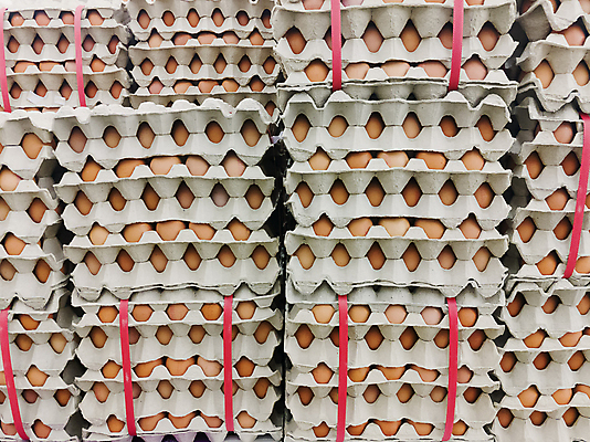 포토 JPG 해외이미지 잡화 음식 백그라운드 재료 부분 자연 부활절 선반 건강 요리 서기 사람없음 상자 농장 갈색 세일 바구니 상점 계란 치킨 성장 흰색 신선 판넬 그룹 시장 구매 상품 유기농 상업 날것 모음 소매 슈퍼마켓 깨짐 단백질 줄서기 해외포토 웰빙 기념일 컬러 가구 컨셉 농업 모션 한글 쇼핑 알 생태계 닭고기요리 영양소 파일형식 이미지허브