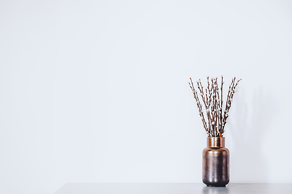 포토 JPG 해외이미지 디자인 꽃 꽃무늬 벽지 탁자 주택 프레임 미술 사람없음 그래픽 장식 새싹 꽃병 봄 공백 수확 신용카드 오브젝트 질감 부드러움 내추럴 그런지 엘리먼트 카피스페이스 부족함 해외포토 식물 계절 가구 컨셉 무늬 농업 문화예술 건물 금융 감각 파일형식 이미지허브