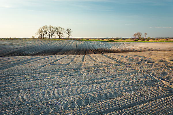 포토 JPG 해외이미지 나무 계절 산업 지구 백그라운드 밭 농업 자연 하늘 건조 풍경 사람없음 파란색 농장 농경지 갈색 환경 흙 봄 가을 시골 땅 만취 언덕 먼지 장면 내추럴 땅바닥 밭일 수평선 세련 해외포토 식물 컬러 바닥 생태계 술취함 파일형식 이미지허브