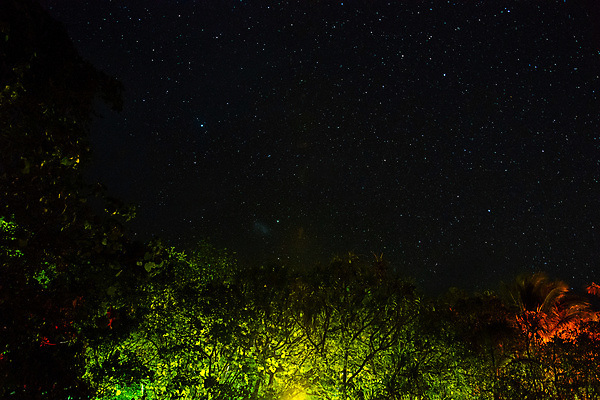 포토 JPG 해외이미지 나무 실루엣 별 모래 바다 섬 여행 백그라운드 자연 하늘 휴가 손바닥 풍경 사람없음 야외 물 여름 파란색 빛 우주 어둠 침묵 별자리 호주 야간 저녁 코스모스 휴양지 은하계 장면 천문학 방법 해외포토 자연요소 식물 손 계절 교육 꽃 컬러 촬영기법 소리 장소 오세아니아 생태계 파일형식 이미지허브