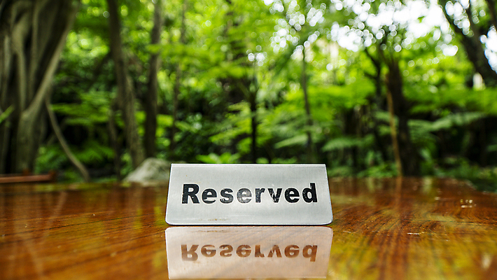 포토 JPG 해외이미지 나무 라이프스타일 접시 음식 컨셉 크리스마스 비즈니스 텍스트 탁자 서기 이벤트 사람없음 목재 세트 파티 식당 축제 식사 저녁식사 카페 정보 흰색 축하 신용카드 발표 메시지 우아함 은색 숲 오브젝트 서비스 사인 준비 예약 설정 전용 해외포토 식물 식기 기념일 컬러 가구 재료 모션 생활 금융 상점 파일형식 이미지허브