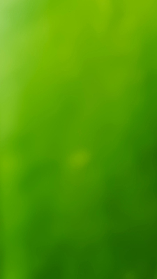 포토 JPG 해외이미지 템플릿 디자인 파도 백그라운드 잎 패턴 곡선 일러스트 자연 벽지 추상 미래 창조 미술 경사 사람없음 가로 초록색 빛 컬러풀 햇빛 우주 맑음 수중 공백 흐름 흰색 매끈함 소프트포커스 질감 보케 심플 부드러움 비네팅 깊이 블러 터키석 카피스페이스 해외일러스트 식물 선 바다 컬러 컨셉 무늬 날씨 문화예술 촬영기법 태양 감각 보석 생태계 파일형식 이미지허브