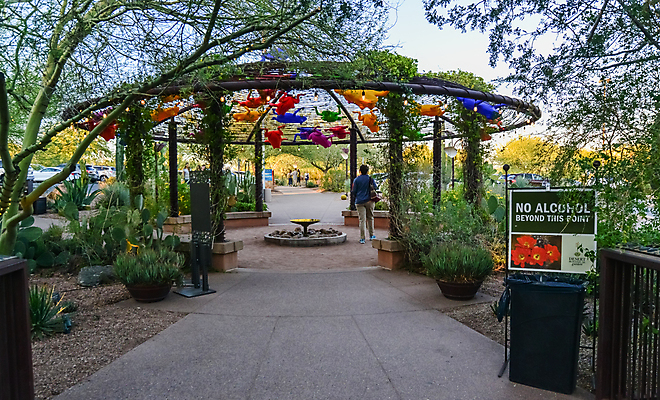 포토 JPG 해외이미지 식물 꽃 여행 백그라운드 자연 선인장 풍경 사람없음 야외 초록색 여름 환경 정원 사막 성장 가시 분수 질감 식물원 애리조나 내추럴 봉황 해외포토 계절 컬러 미국 생태계 파일형식 이미지허브