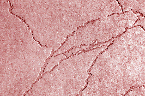 포토 JPG 해외이미지 템플릿 디자인 배너 포스터 벽 백그라운드 크리스마스 겨울 패턴 벽지 표면 추상 미술 사람없음 장식 빨간색 파란색 컬러풀 어둠 페인트 공백 회색 추위 시골 신용카드 거친 낟알 남색 고민 청록색 해군 광 석고 울퉁불퉁 카피스페이스 해외포토 계절 기념일 감정 컬러 무늬 문화예술 군대 금융 파일형식 이미지허브