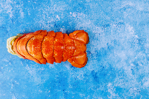 포토 JPG 해외이미지 접시 음식 바다 탁자 조개 새우 건강 육류 갑각류 어류 요리 사람없음 빨간색 식당 식사 저녁식사 게 껍질 신선 시장 고급 가재 바닷가재 먹기 레몬 해산물 준비 꼬리 점심식사 삶기 집게발 해외포토 동물 식기 컬러 가구 컨셉 과일 식재료 모션 어패류 상점 수중동물 파일형식 이미지허브