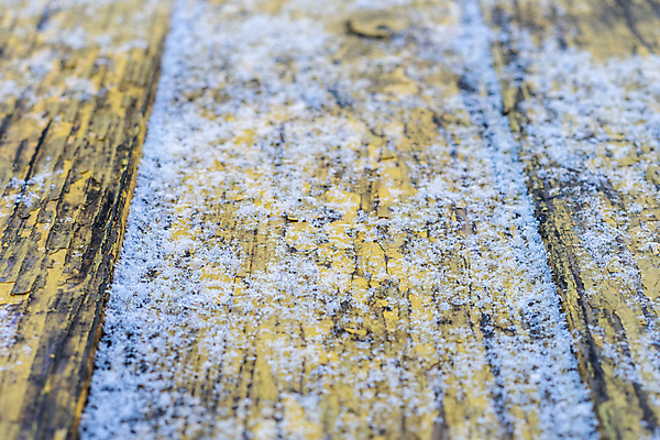 포토 JPG 해외이미지 디자인 배너 계절 벽 조각 백그라운드 크리스마스 겨울 패턴 자연 벽지 탁자 표면 추상 휴가 새로움 프레임 사람없음 목재 장식 우주 냉동 얼음 축제 추위 수확 흰색 시골 축하 인사 판넬 신용카드 눈송이 널 정상 12월 질감 복고 서리 내추럴 그런지 옛날 카피스페이스 해외포토 자연요소 나무 기념일 컬러 가구 컨셉 무늬 농업 재료 눈_날씨 금융 공백 예절 날짜 생태계 파일형식 이미지허브