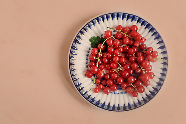 포토 JPG 해외이미지 접시 열매 음식 백그라운드 다이어트 채소 과일 부분 탁자 디저트 사람없음 장식 가로 빨간색 초록색 농작물 정원 신선 그룹 달콤 맛 아침식사 농부 설탕 원예 건강식 건포도 고립 구성 바닐라 채식주의자 많음 해외포토 식물 직업 식기 컬러 가구 컨셉 농업 포도 건강 취미 식사 채식 건과일 파일형식 이미지허브