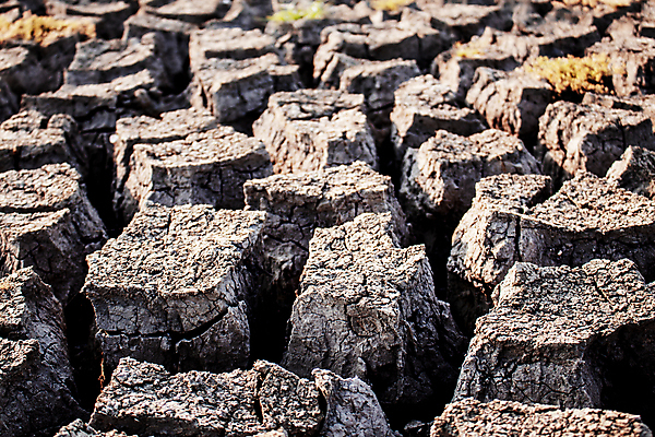 포토 JPG 해외이미지 계절 아시아 지구 백그라운드 컨셉 밭 농업 태국 자연 표면 날씨 건조 동양인 풍경 사람없음 물 여름 글로벌 환경 흙 사막 시골 죽음 뜨거움 변화 균열 땅 질감 먼지 진흙 가뭄 내추럴 땅바닥 재앙 해외포토 자연요소 나라 산업 모션 바닥 인종 생태계 파일형식 이미지허브