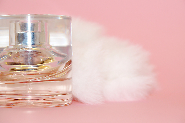 포토 JPG 해외이미지 모양 여자 털 발렌타인데이 건강 선물 사랑 사람없음 빛 반짝임 놀람 화장품 흰색 신선 투명 화려 액체 고급 우아함 상품 신비 컨테이너 비밀 향수 향기 냄새 부드러움 분무기 광택 개성 아로마테라피 솜털 강렬 돌봄 위생관리 해외포토 감정 산업 컬러 컨셉 모션 데이이벤트 표정 관리 사람 뷰티 감각 테라피 파일형식 이미지허브