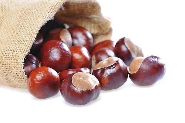 포토 JPG 해외이미지 계절 음식 재료 자연 탁자 사람없음 견과류 가을 9월 11월 10월 고립 해외포토 가구 날짜 생태계 파일형식 이미지허브