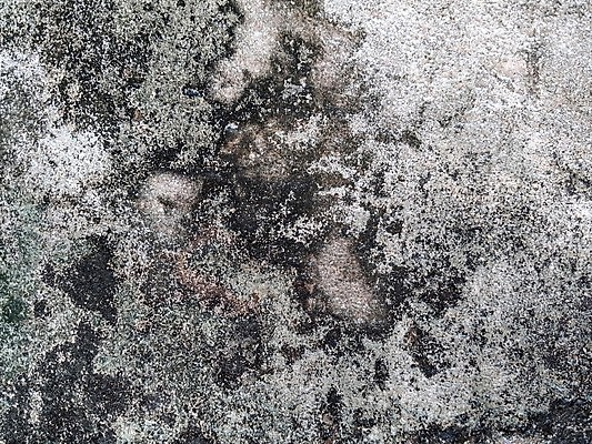 포토 JPG 해외이미지 디자인 벽 백그라운드 패턴 건축양식 벽지 표면 날씨 추상 바닥 사람없음 건물 우주 검은색 어둠 공백 회색 수확 골동품 바위 흰색 도시 거친 균열 묘사 질감 복고 시멘트 스크래치 구식 그런지 깨짐 땅바닥 옛날 콘크리트 효과 해외포토 건축물 건축 컬러 컨셉 무늬 농업 모션 돌_바위 파일형식 이미지허브