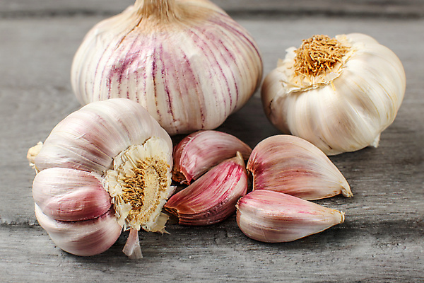 포토 JPG 해외이미지 음식 백그라운드 다이어트 채소 재료 전구 부분 양파 건강 마늘 요리 사람없음 목재 빨간색 초록색 보라색 수확 흰색 신선 양념 그룹 닫기 맛 정상 허브 제비꽃 향신료 유기농 매움 날것 향 후추 내추럴 돌봄 숙성 해외포토 나무 식물 웰빙 꽃 컬러 컨셉 농업 모션 향미료 파일형식 이미지허브