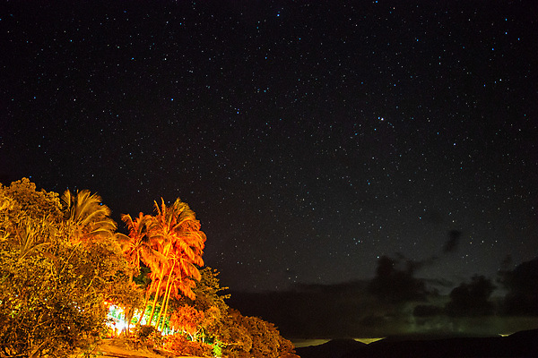 포토 JPG 해외이미지 나무 실루엣 별 모래 바다 섬 여행 백그라운드 자연 하늘 휴가 손바닥 풍경 사람없음 야외 물 여름 파란색 빛 우주 어둠 침묵 별자리 호주 야간 저녁 코스모스 휴양지 은하계 장면 천문학 방법 해외포토 자연요소 식물 손 계절 교육 꽃 컬러 촬영기법 소리 장소 오세아니아 생태계 파일형식 이미지허브