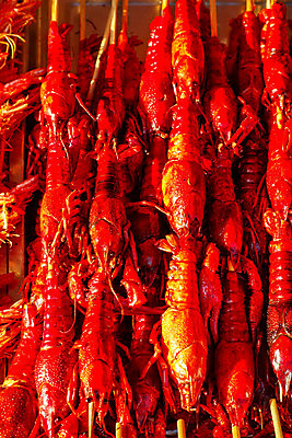 포토 JPG 해외이미지 전통 아시아 음식 여행 곤충 디저트 불가사리 새우 거리 요리 사람 동양인 사람없음 세일 여행객 상점 식사 중국 튀김 도시 뱀 막대기 꼬치 시장 맛 그릴 야간 전갈 해산물 베이징 동쪽 이국적 해외포토 자연요소 동물 나라 컨셉 절지류 파충류 주방용품 극피동물 갑각류 인종 방향 파일형식 이미지허브