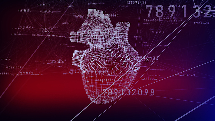 포토 JPG 해외이미지 모델 디자인 남자 선 과학 백그라운드 신체 일러스트 해부 추상 미래 건강 사랑 미술 사람 사람없음 그래픽 빨간색 파란색 약 3D 웹 고통 흰색 하트 오르간 질병 공격 생물학 망사 동맥 정맥 심장병 엘리먼트 폴리곤 해외일러스트 모양 교육 감정 컬러 컨셉 무늬 인터넷 의학 모션 문화예술 직물 건반악기 디지털합성 혈관 파일형식 이미지허브