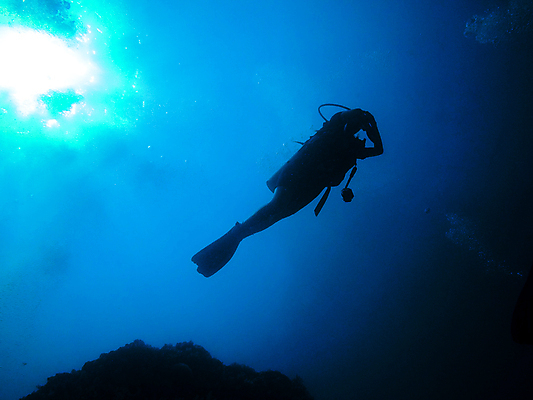 포토 JPG 해외이미지 실루엣 바다 한명 풍경 성인 바닷속 수중 잠수부 성인한명만 해외포토 1 촬영기법 사람 전문직 성인만 파일형식 이미지허브