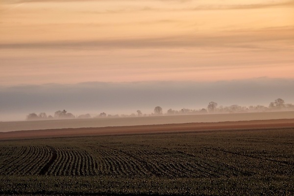 포토 JPG 해외이미지 겨울 자연 사람없음 안개 시골 해외포토 계절 날씨 생태계 파일형식 이미지허브