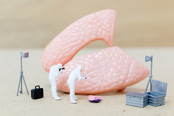 포토 JPG 해외이미지 과학 컨셉 신체 해부 엑스레이 건강 병원 사람 사람없음 내부 치료 숫자 약 건강관리 중국 고통 미니어처 환자 의사 관찰 수술 오르간 질병 뇌 생물학 시스템 외과 돌봄 지능 해외포토 문자 교육 감정 아시아 의학 모션 관리 모형 의료진 건반악기 파일형식 이미지허브