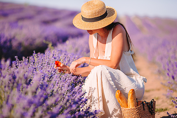 포토 JPG 해외이미지 주간 전신 여자 꽃 빵 한명 풍경 성인 야외 옆모습 여름 바구니 보라색 프랑스 잡기 밀짚모자 라벤더 웅크림 프로방스 성인여자한명만 해외포토 자연요소 식물 모자_잡화 1 계절 유럽 음식 뷰포인트 컬러 모션 사람 허브 여자한명만 성인여자만 파일형식 이미지허브