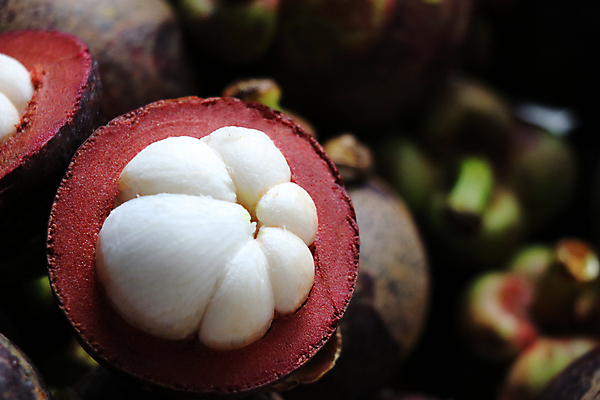 포토 JPG 해외이미지 아시아 음식 백그라운드 농업 과일 태국 자연 건강 동양인 사람없음 농장 보라색 흰색 신선 시장 달콤 맛 유기농 여왕 내추럴 숙성 이국적 해외포토 웰빙 나라 산업 컬러 컨셉 인종 생태계 파일형식 이미지허브