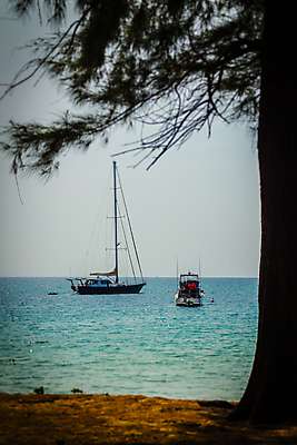 포토 JPG 해외이미지 나무 라이프스타일 실루엣 바다 여행 요트 자연 하늘 휴가 휴식 항해 풍경 사람없음 야외 초록색 파란색 햇빛 반사 침묵 만 보트 숲 정박 푸켓 해외포토 식물 컬러 컨셉 배_교통 태국 촬영기법 생활 태양 소리 생태계 파일형식 이미지허브
