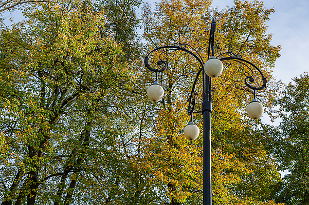 포토 JPG 해외이미지 나무 디자인 공원 백그라운드 잎 가로등 자연 유리 조명 거리 사람없음 야외 초록색 여름 빛 금속 정원 검은색 장비 수확 나뭇가지 등불 램프 도시 그늘 철 오브젝트 복고 타운 내추럴 옛날 철강 해외포토 식물 계절 공공시설 컬러 농업 재질 생태계 파일형식 이미지허브