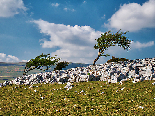 포토 JPG 해외이미지 나무 유럽 여행 자연 하늘 바람 날씨 산 풍경 사람없음 야외 초록색 파란색 힘 바위 요크셔테리어 언덕 폭풍 고립 석회암 폭풍우 해외포토 자연요소 식물 나라 컬러 암석 돌_바위 비_날씨 자연재해 테리어 생태계 파일형식 이미지허브