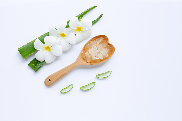 포토 JPG 해외이미지 스튜디오촬영 꽃 단면 실내 사람없음 흰배경 알로에 해외포토 식물 백그라운드 내부 흰색 파일형식 이미지허브