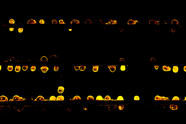포토 JPG 해외이미지 디자인 백그라운드 패턴 건축양식 벽지 표면 지붕 날씨 추상 주택 미술 사람없음 내부 건물 장식 물 갈색 쌓기 손상 젖음 촉촉함 수확 흰색 균열 떨어짐 묘사 천장 질감 복고 무거움 나쁜 그런지 단절 옛날 해외포토 자연요소 건축물 건축 컬러 컨셉 무늬 농업 모션 문화예술 무게 파일형식 이미지허브