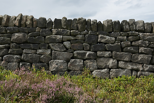 포토 JPG 해외이미지 모양 디자인 공원 벽 백그라운드 패턴 밭 추상 벽돌 건조 돌담 기술 석조 풍경 사람없음 옆모습 초록색 우주 어둠 회색 바위 경계선 시골 플랫 혼합 작음 묘사 질감 역동적 윤곽 지역 암초 내추럴 솜씨 옛날 전국 절정 불규칙 스타일 해외포토 공공시설 선 뷰포인트 컬러 컨셉 무늬 농업 담장 돌_바위 크기 경계 파일형식 이미지허브