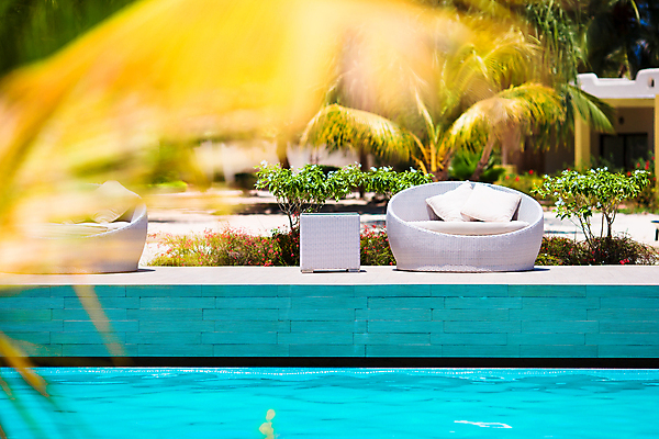 포토 JPG 해외이미지 주간 나무 의자 수영장 풍경 사람없음 야외 여름 야자수잎 해외포토 자연요소 식물 계절 가구 잎 파일형식 이미지허브