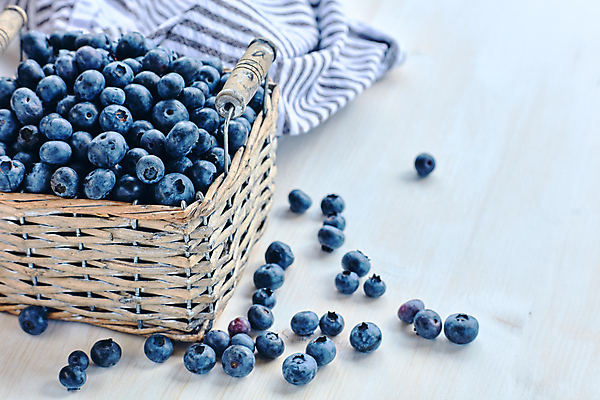 포토 JPG 해외이미지 열매 음식 백그라운드 다이어트 과일 자연 디저트 건강 사람없음 목재 파란색 바구니 봄 신선 달콤 맛 정상 유기농 블루베리 날것 내추럴 숙성 채식주의자 해외포토 나무 식물 웰빙 계절 컬러 컨셉 재료 생태계 채식 파일형식 이미지허브