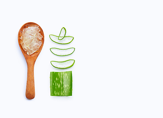 포토 JPG 해외이미지 스튜디오촬영 단면 실내 사람없음 하이앵글 흰배경 알로에 해외포토 식물 뷰포인트 백그라운드 내부 흰색 파일형식 이미지허브