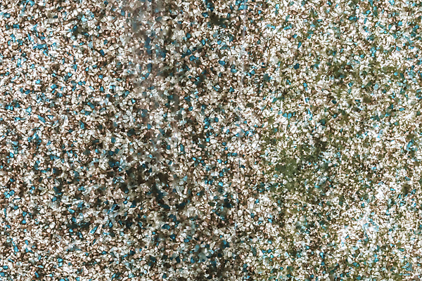 포토 JPG 해외이미지 식물 디자인 계절 공원 벽 백그라운드 컨셉 잎 패턴 자연 벽지 표면 추상 바닥 미술 잔디 사람없음 야외 장식 여름 빛 컬러풀 햇빛 환경 정원 성장 신선 닫기 유기농 질감 보케 부드러움 내추럴 블러 생태학 효과 해외포토 웰빙 공공시설 교육 컬러 무늬 모션 문화예술 태양 감각 생태계 파일형식 이미지허브