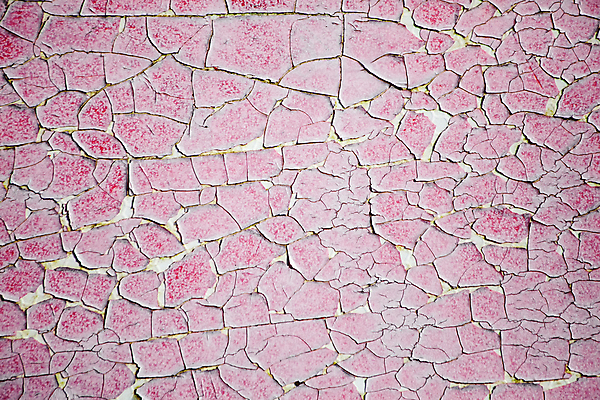 포토 JPG 해외이미지 벽 분홍색 백그라운드 패턴 표면 날씨 추상 바닥 사람없음 목재 가로 울타리 페인트 골동품 흰색 시골 판넬 거친 그리기 플랫 널 낟알 고민 부식 질감 골절 그런지 수목 썩음 옛날 해외포토 나무 감정 컬러 무늬 재료 의학 모션 담장 파일형식 이미지허브