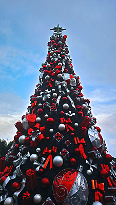 포토 JPG 해외이미지 모양 나무 계절 리본 크리스마스 겨울 공 자연 휴가 기념 선물 사람없음 장식 빨간색 초록색 빛 크리스마스트리 흰색 소나무 은색 12월 해외포토 식물 기념일 컬러 날짜 생태계 파일형식 이미지허브